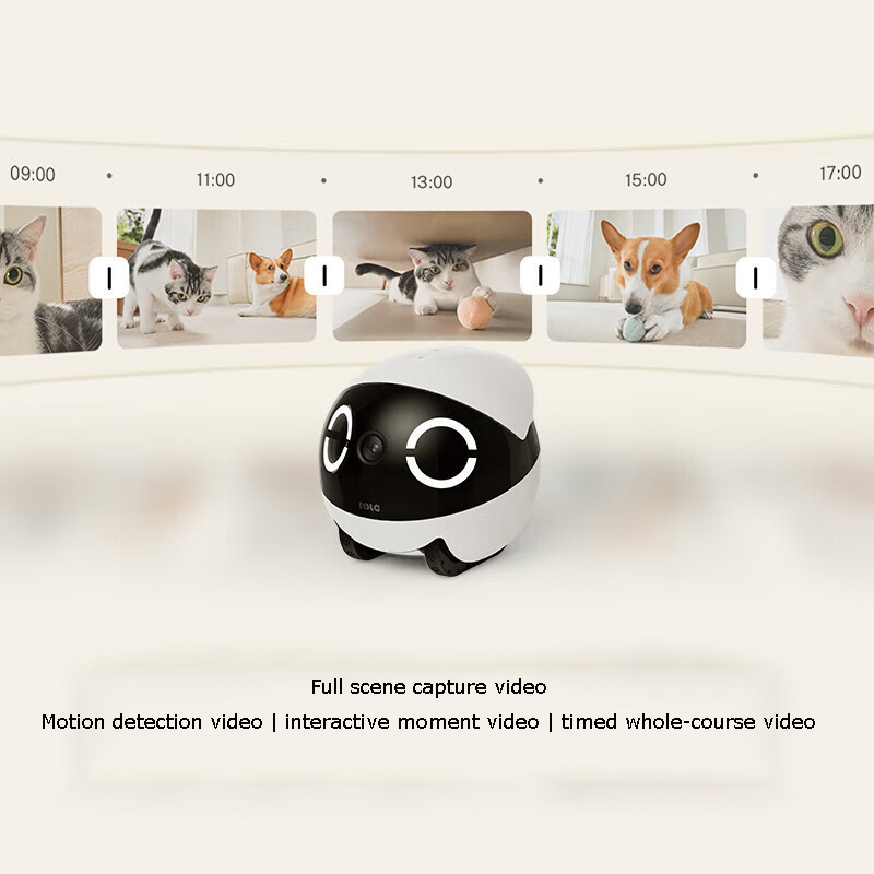 Home Security Pet Tumbler Desi - огляд і ціна Home Security Robots